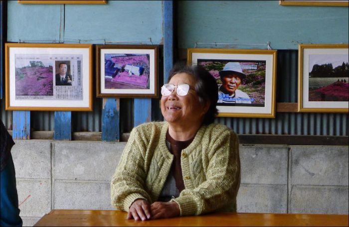 Японский фермер разбил гигантский цветник для слепой жены
