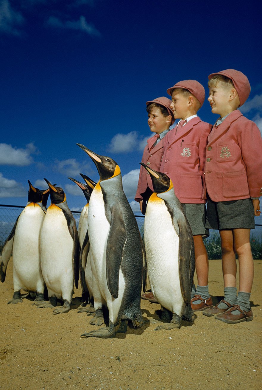Прекрасные моменты на архивных снимках от National Geographic