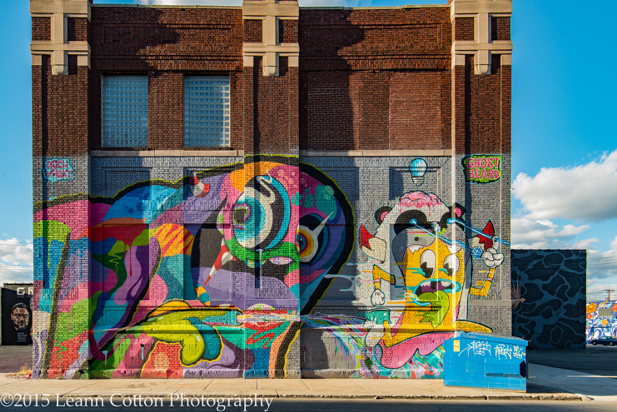 30 реальных фотографий современного Детройта