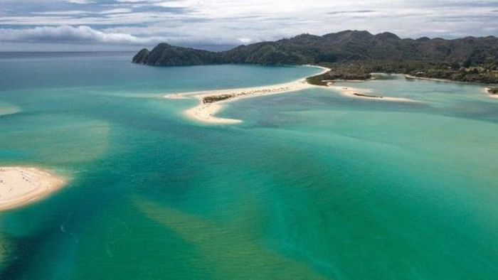 В Новой Зеландии выкупили частный пляж, чтобы сделать его общественным