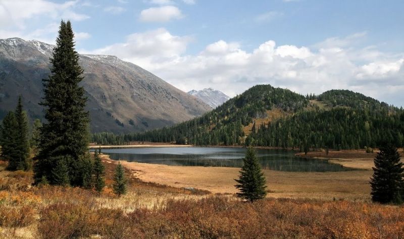 Катунский биосферный заповедник в высокогорьях Центрального Алтая