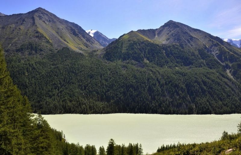 Катунский биосферный заповедник в высокогорьях Центрального Алтая