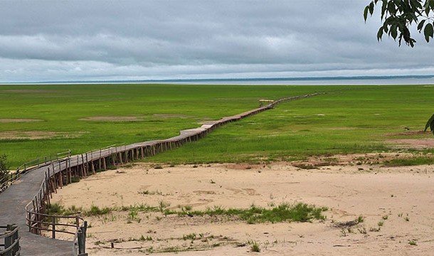 Невероятные факты про Амазонку, уникальнейшее место на Земле