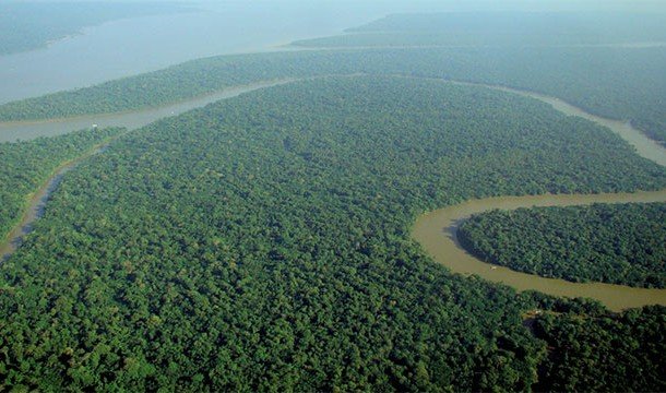 Невероятные факты про Амазонку, уникальнейшее место на Земле