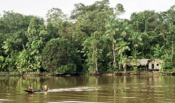 Невероятные факты про Амазонку, уникальнейшее место на Земле