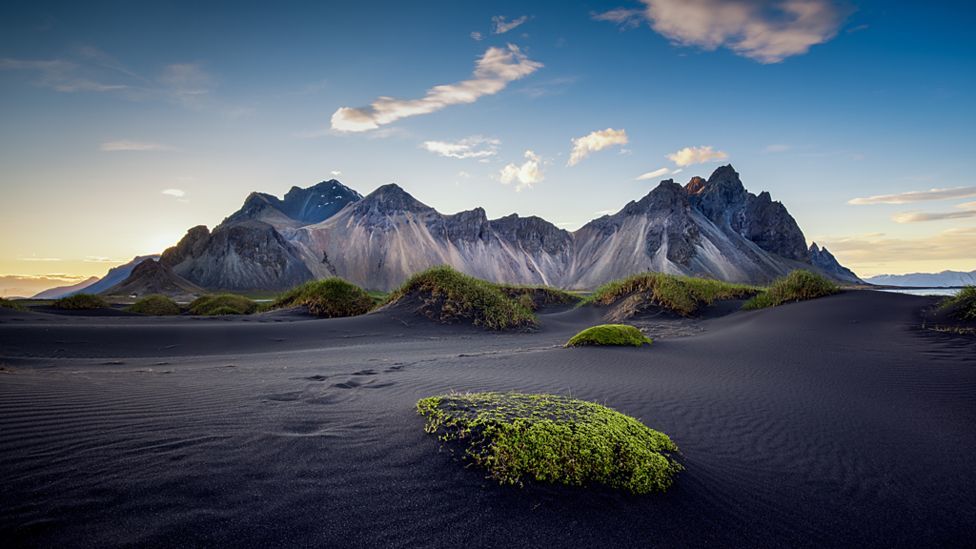 Победители фотоконкурса садовой фотографии International Garden Photographer of the Year