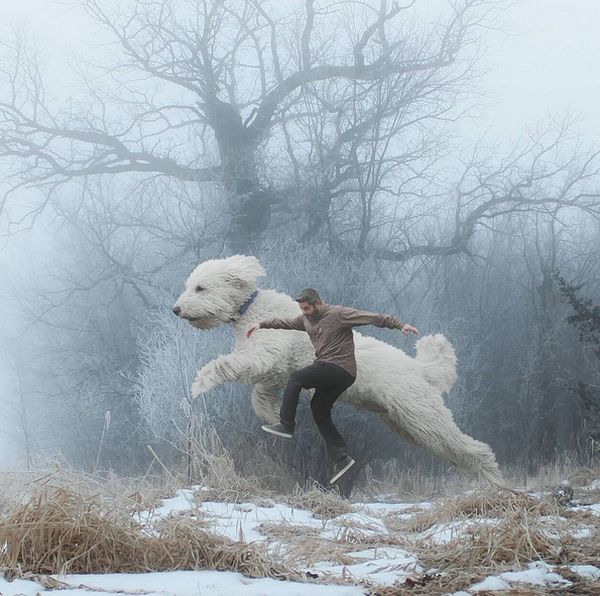 Приключения фотографа Кристофера Клайна и его собаки-великана