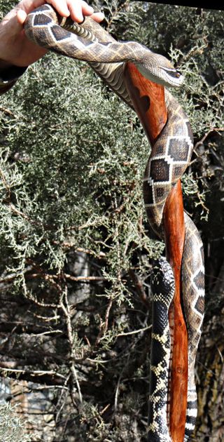 Невероятно реалистичные трости в виде змей