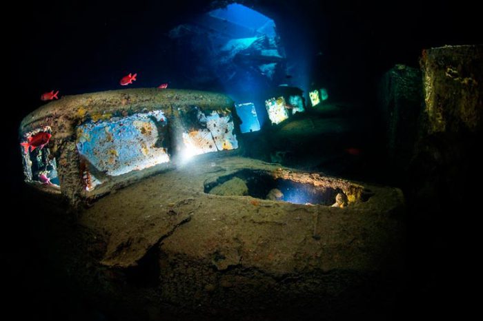 Лучшие снимки с международного конкурса подводной фотографии