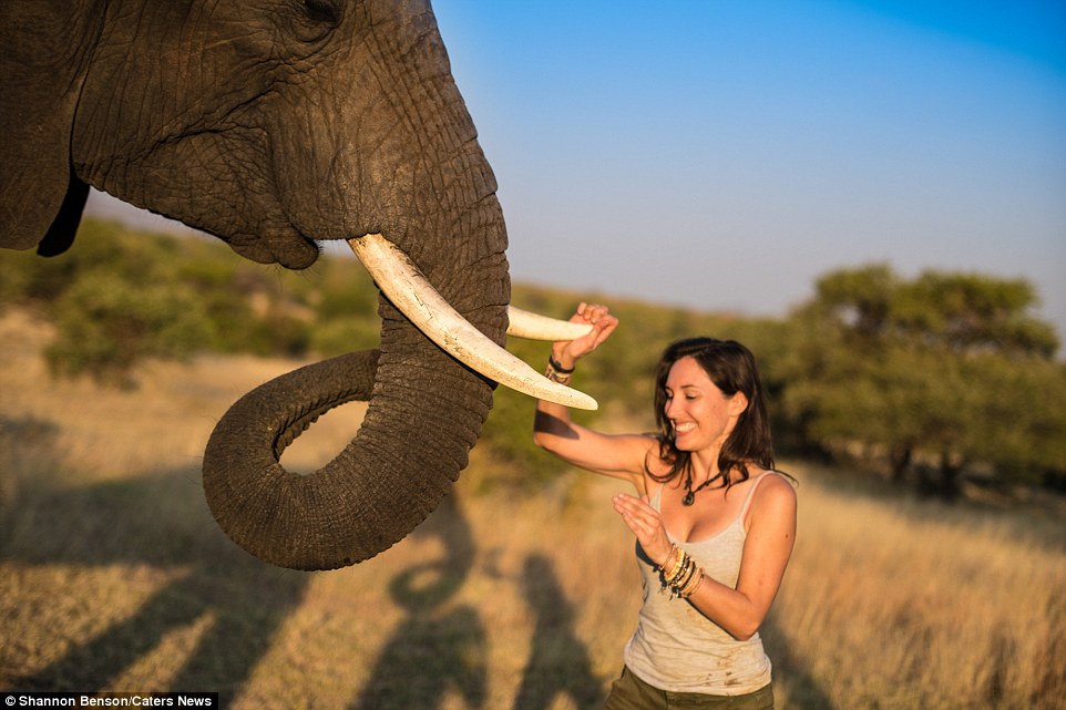 Смелая фотограф из ЮАР, с которой дикие звери становятся ручными