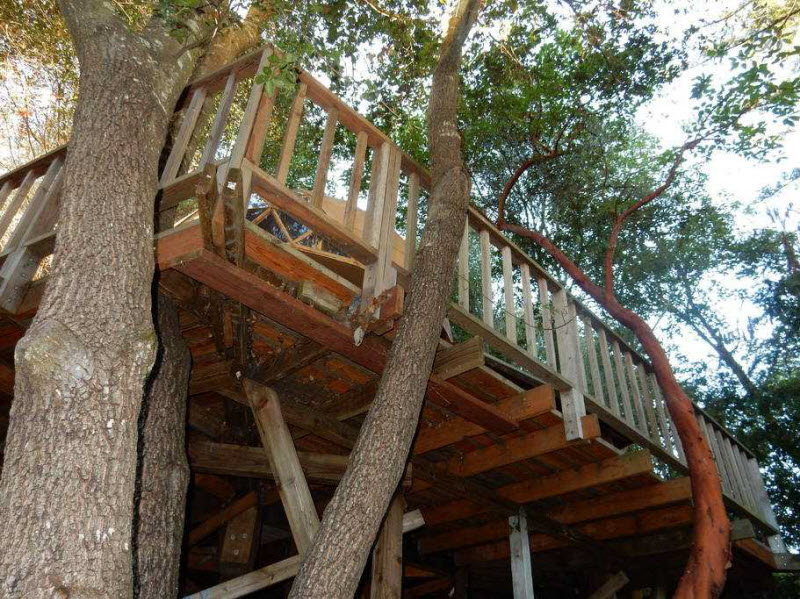 Внутри деревянного домика-гриба, сдаваемого в аренду на Airbnb