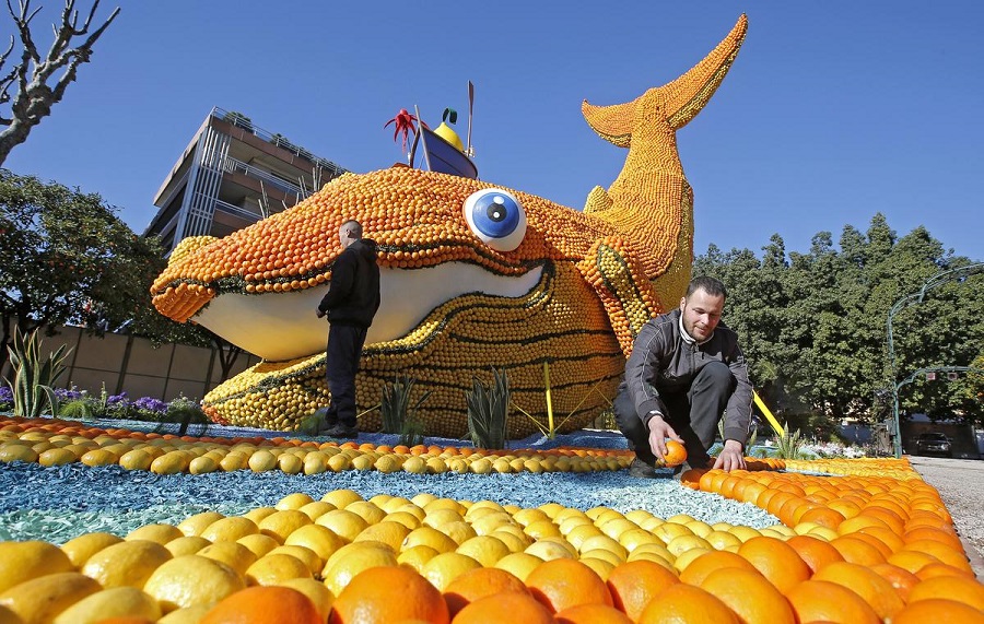 Скульптуры из цитрусовых на Лимонном фестивале