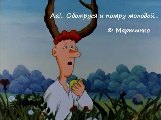 Интересные цитаты из любимых советских мультфильмов