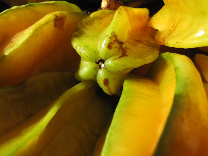 20 необыкновенных экзотических фруктов нашей планеты
