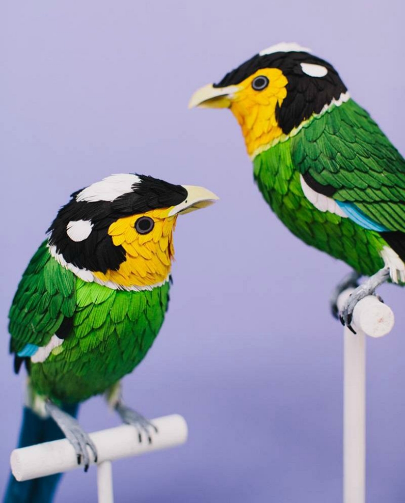 Бумажные птицы от Дианы Бельтран