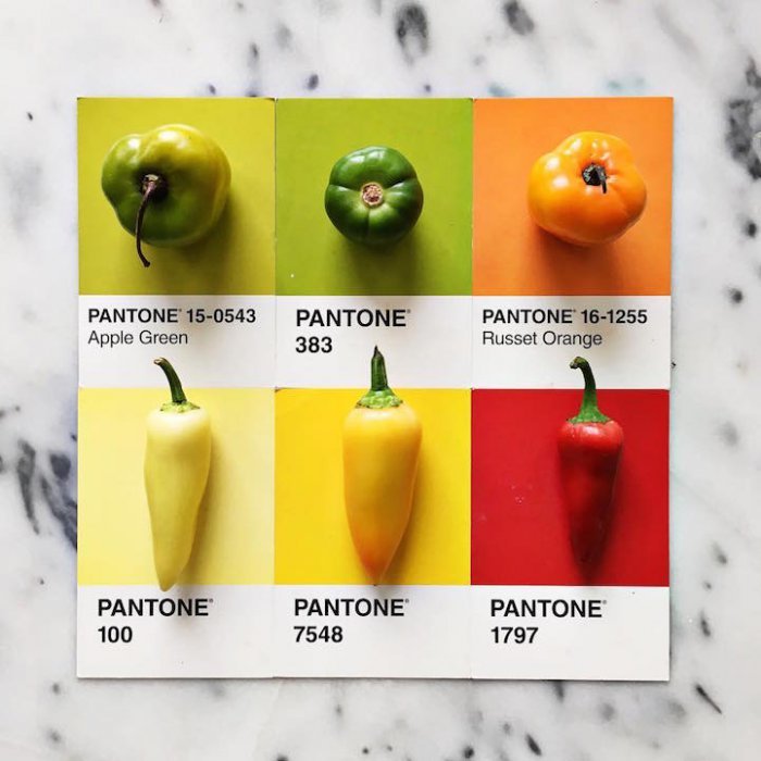 Кулинарный каталог цветов Pantone от Люси Литман