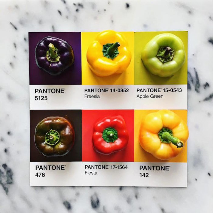 Кулинарный каталог цветов Pantone от Люси Литман
