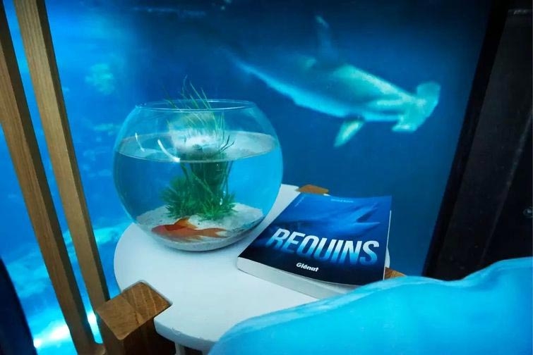 Номер, в котором можно переночевать внутри аквариума с акулами