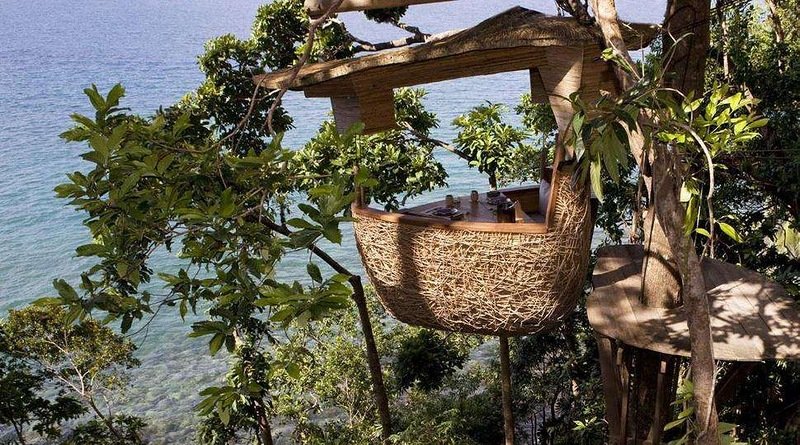 Ресторан Птичье гнездо, расположенный на дереве