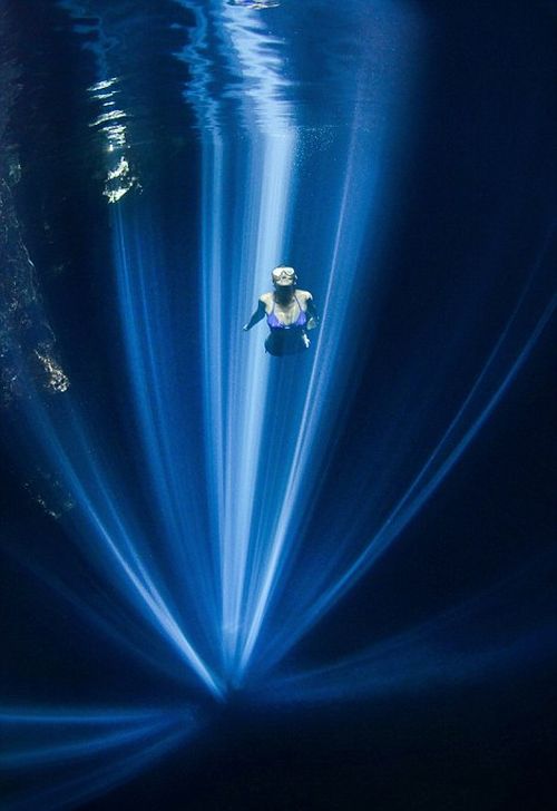 Лучшие работы конкурса подводных снимков