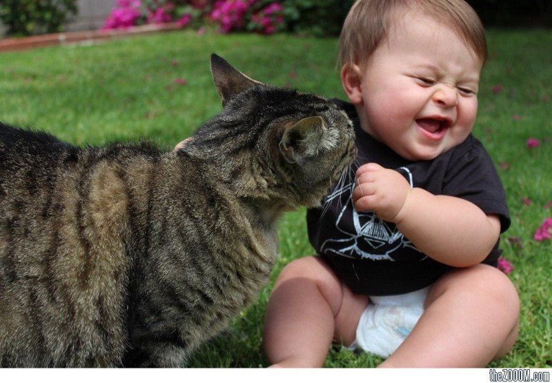Детки с очаровательными кошками