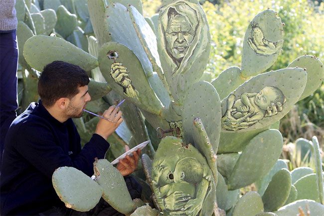Палестинский художник рисует невероятные картины на кактусах