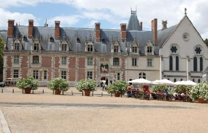 Королевский замок Блуа во Франции