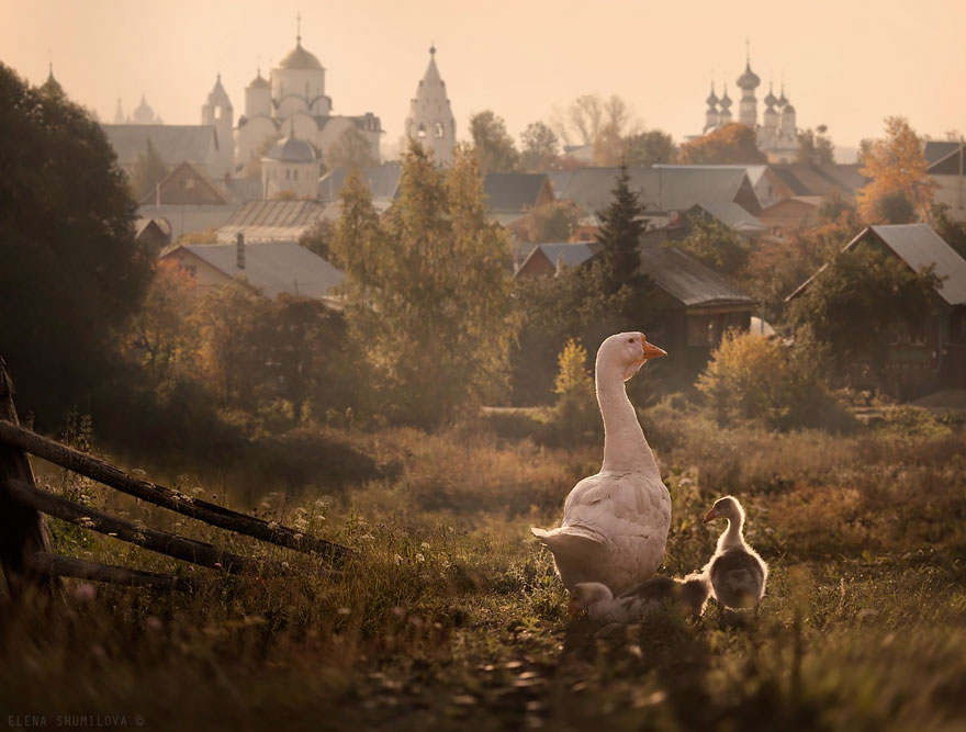 Сказочные городки и живописные деревни в разных уголках мира