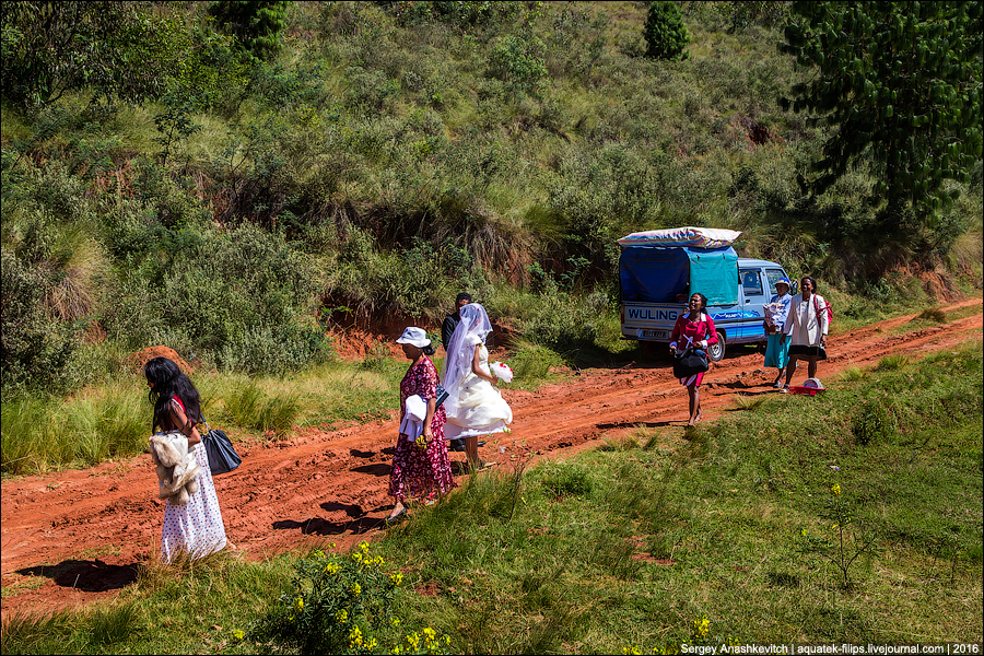 Как выглядит деревенская африканская свадьба