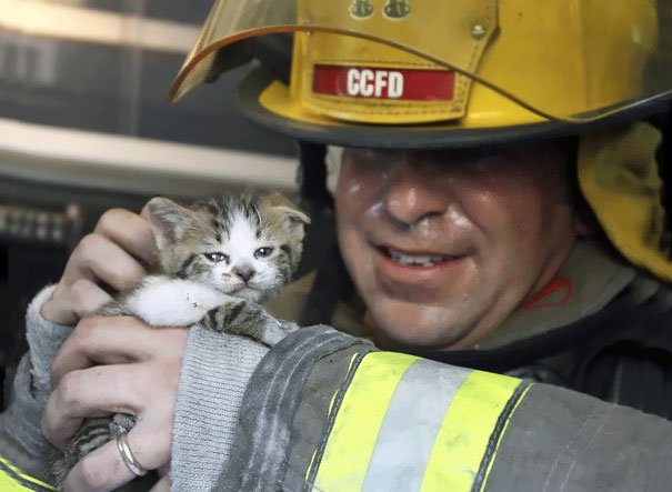 Пожарные, которые спасли домашних животных