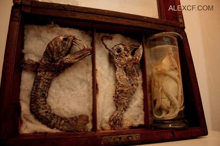 Оригинальная коллекция макетов тел мифических существ