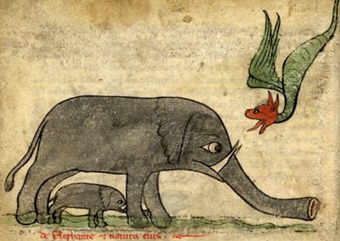 Как средневековые художники рисовали слонов