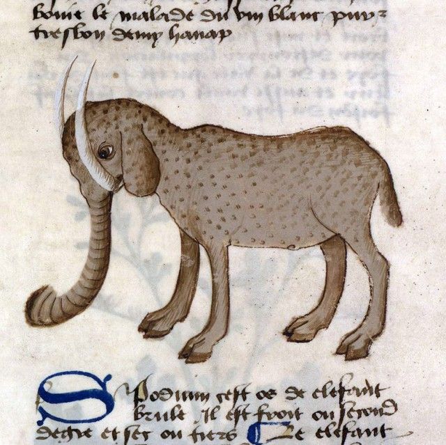 Как средневековые художники рисовали слонов