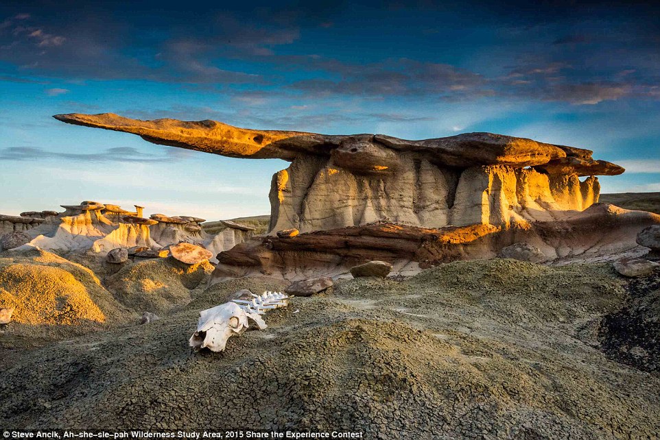 Победители конкурса фотографий из национальных парков США