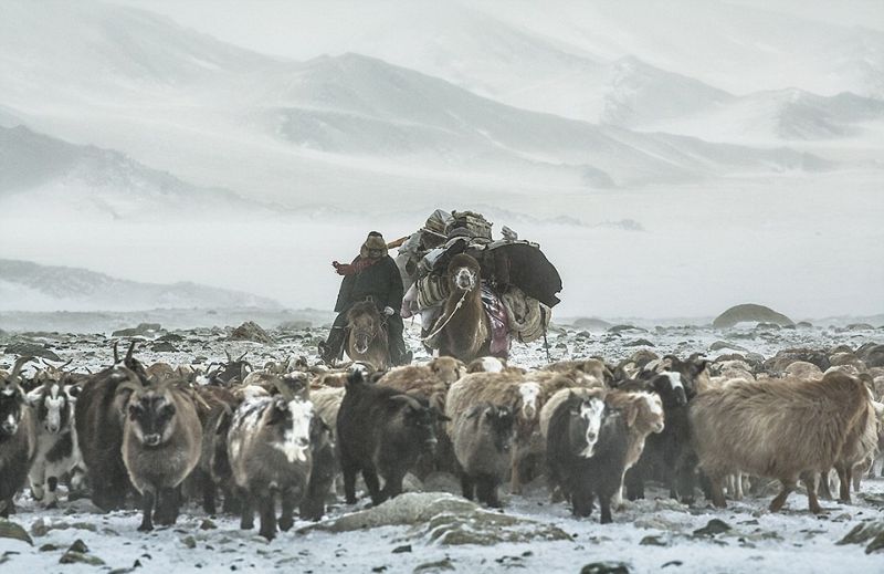 Весеннее переселение казахов в 40-градусный мороз