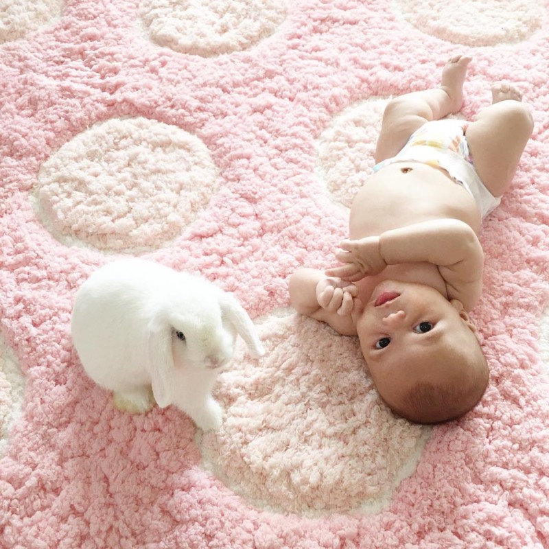 Мама фотографирует дружбу своего малыша с кроликами