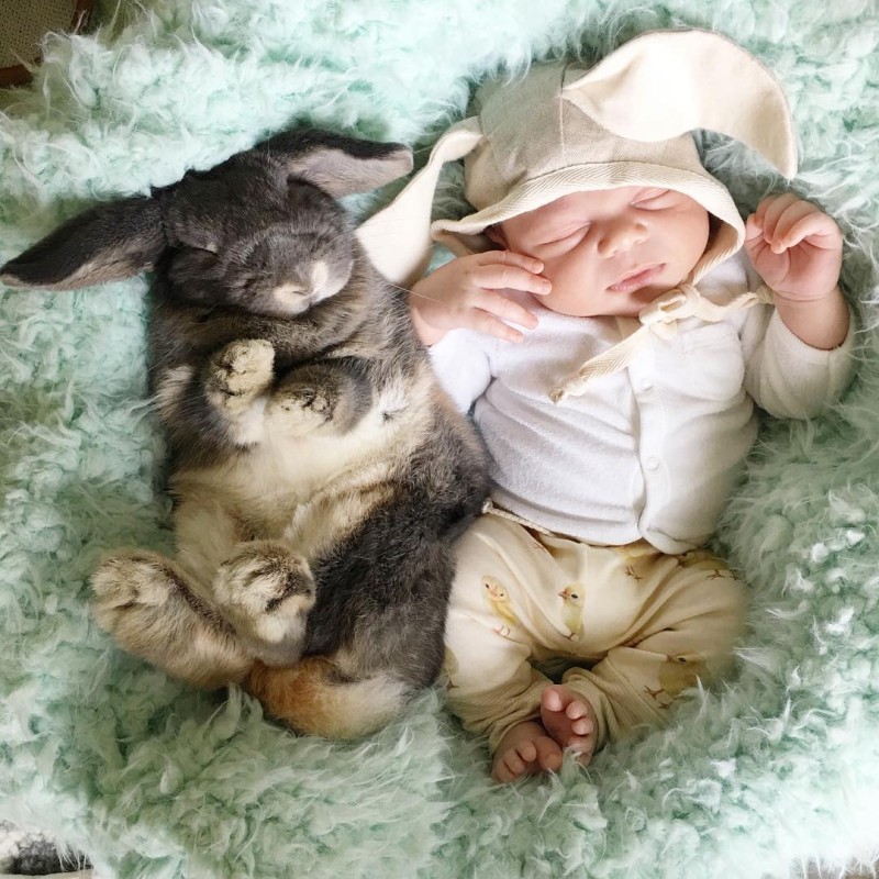 Мама фотографирует дружбу своего малыша с кроликами