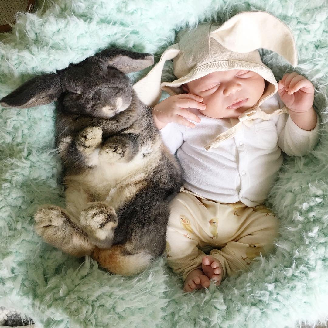 Малыши и кролики на фотографиях от Линдси Боннис