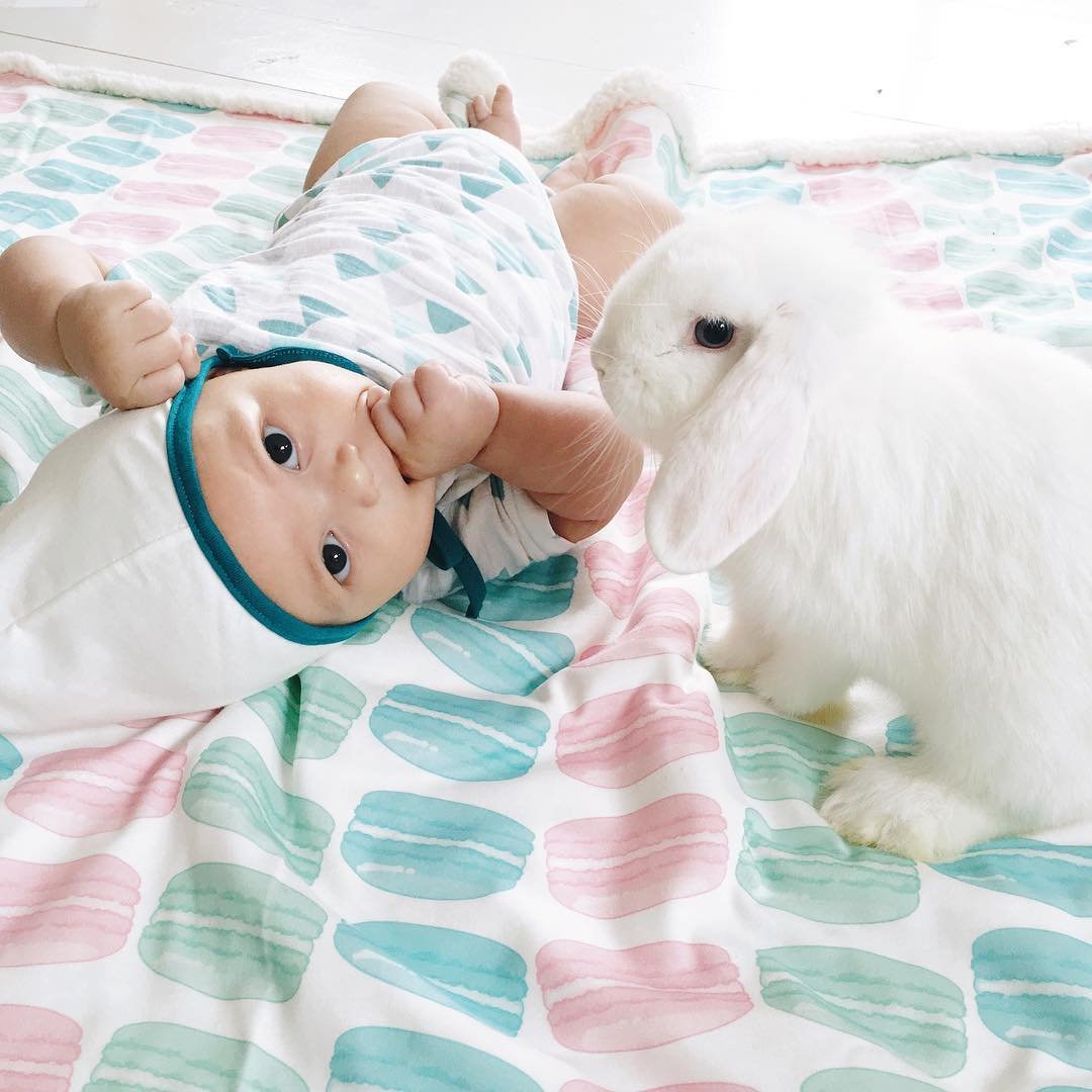 Малыши и кролики на фотографиях от Линдси Боннис