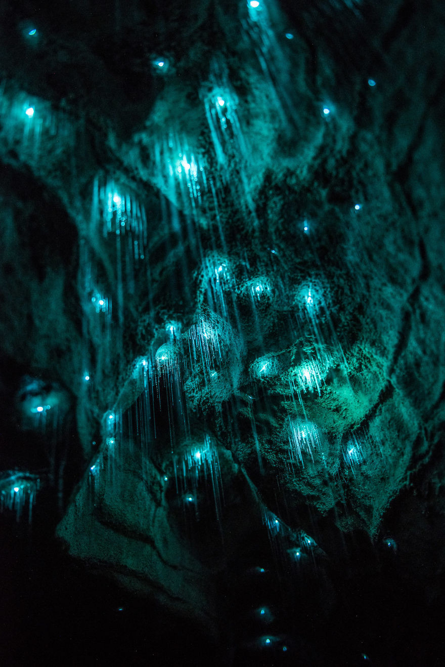 Удивительные пещеры светлячков Вайтомо в Новой Зеландии