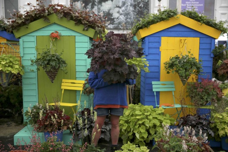 Цветочное шоу Chelsea Flower Show-2016 в Лондоне