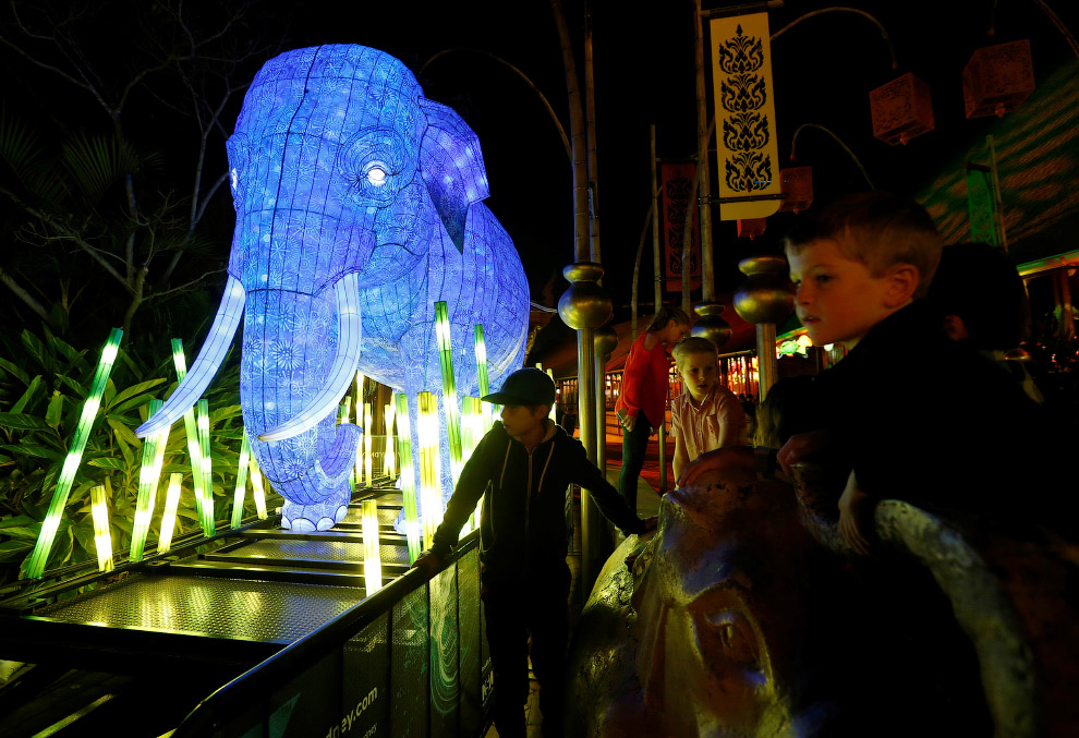 Фестиваль световых скульптур в Сиднее
