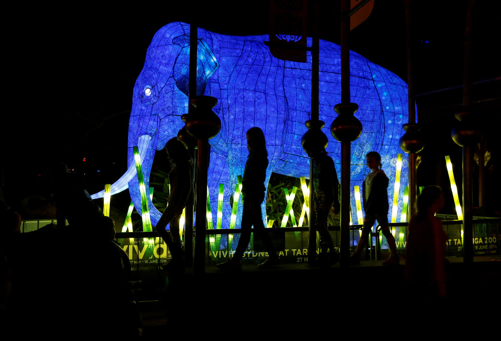 Фестиваль световых скульптур в Сиднее