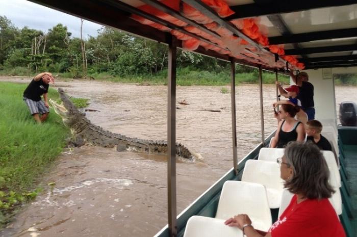 Заклинатель крокодилов из Коста-Рики