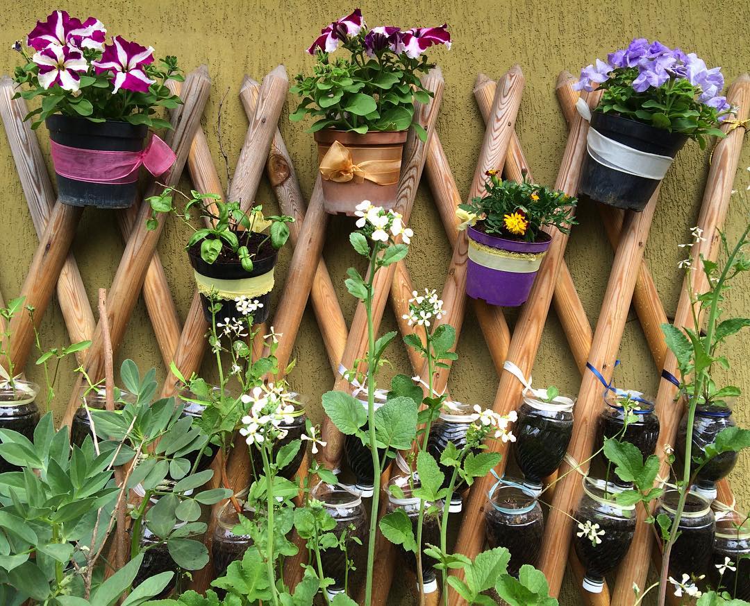 18 интересных идей, чтобы устроить сад прямо у себя дома
