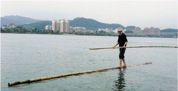 Китаец добирается до работы на стебле бамбука, используя его вместо плота