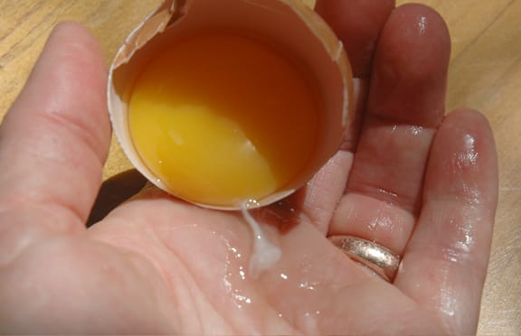 Что можно узнать по наличию этих штуковин в яйце