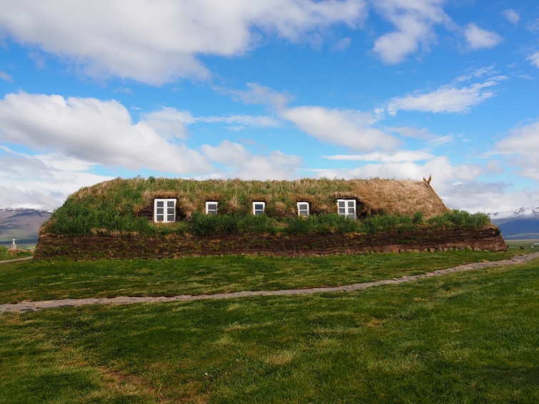 Сказочные скандинавские дома с зелёными крышами