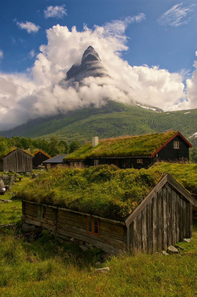Сказочные скандинавские дома с зелёными крышами