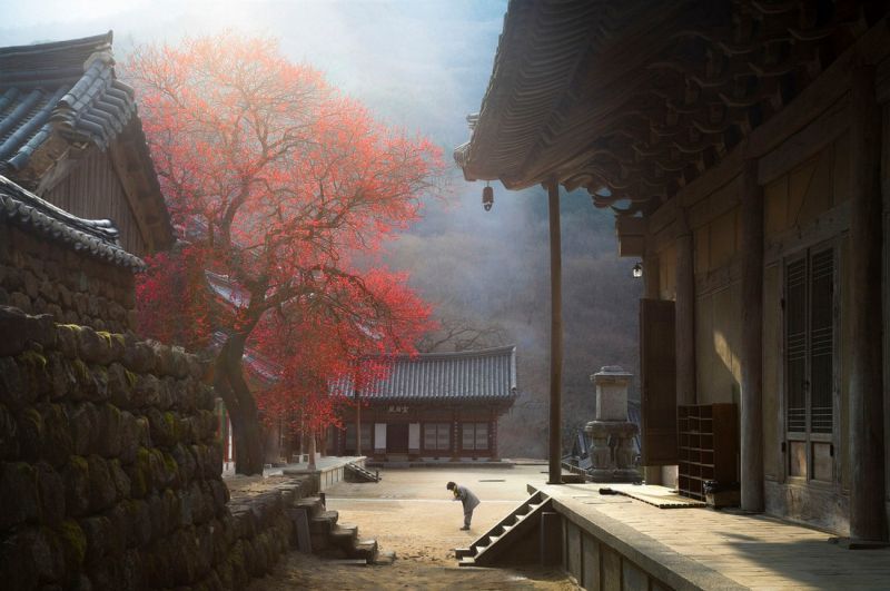 Удивительные пейзажи на снимках Чжэ Юн Рю